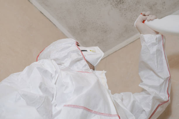 Best Mold Testing  in Mankato, MN